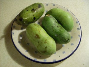 Pawpaws