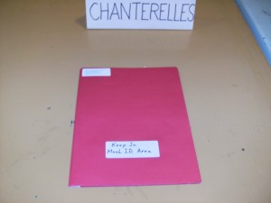 no chanterelles